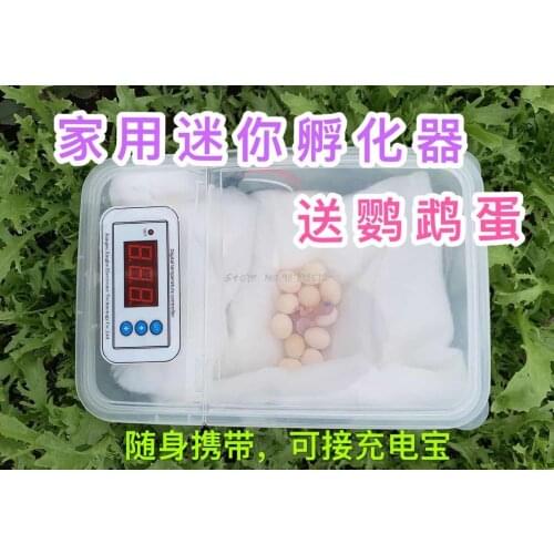 Usb Bird Egg Incubator Egg Delivery Small Water Bed Incubator Household Type Crawling Pet Automatic Chick Parrot Incubator
