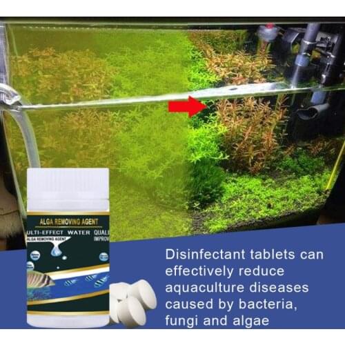 50PCS Instant Fish Tank Cleaning Algae Flakes Aquarium Accessories Household Aquarium Water Purification And Odor Removal