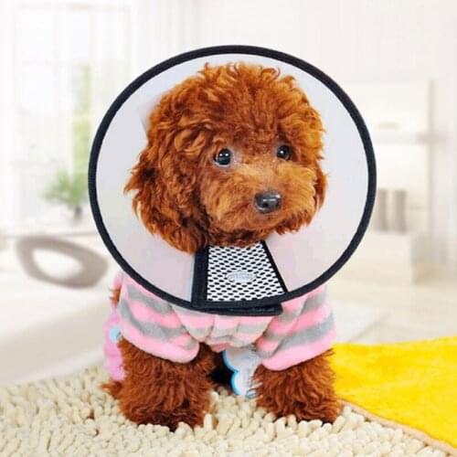 S/2XL Elizabeth Circle Pet Protection Collar Cat Neck Ring Neck Pet Dog Headgear Anti-Bite Anti-Lick Shame Circle Supplies Hot