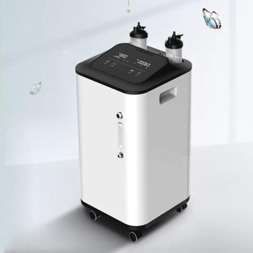 New type 10L multi-person Oxygen Concentrator portable oxygen generator household oxygen making machine
