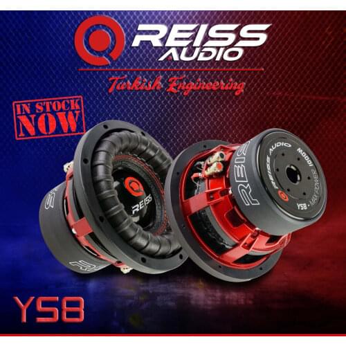 20 CM SUBWOOFER 300RMS 1000W DUAL 2 OHM1 PIECE IN THE BOX RS-YS8