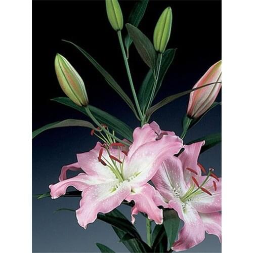 Crafts 5D diy diamond painting flower lily full square Rhinestone diamond mosaic embroidery Flowers European home decor broderie