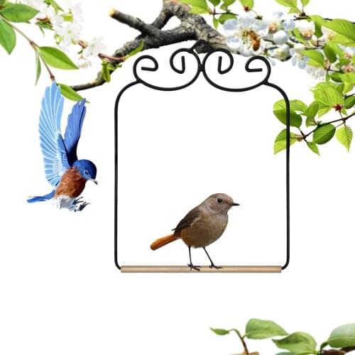 Hummingbird Swing Decoration Can Be Provided For Hummingbirds To Play Parrots Bird Stand Cage For Pets Accessories