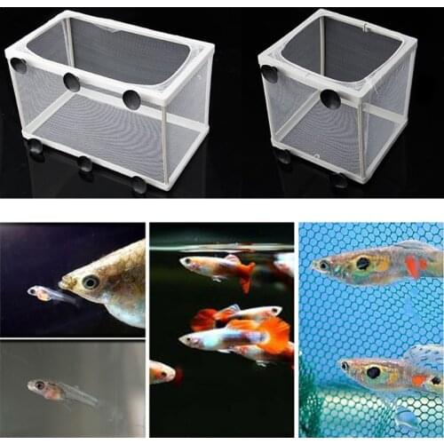 Fish Tank Aquarium Guppy Breeding Breeder Fish Baby Gauze Trap Box Isolator S/L