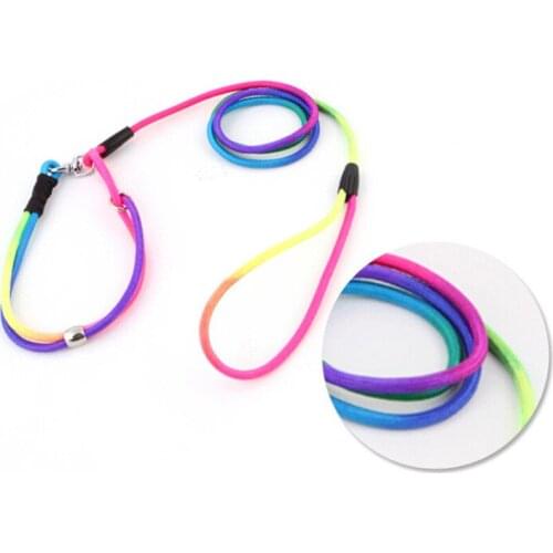 Nylon Adjustable Dog Collars Muliti Color Leads for Dogs fashion pet dog leashes nylon pet leads dog Collar 0.5 * 145-155cm