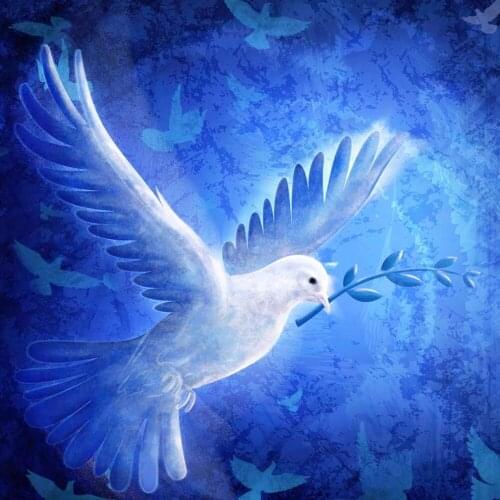2020 NEW 5d diy full Diamond embroidery Peace Dove series diamond painting Cross Stitch Rhinestone mosaic decor E536