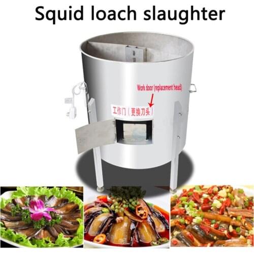 Commercial eel/loach slaughter machine XZ-490 stainless steel fish killer Automatic open back/belly killing fish machine 220v