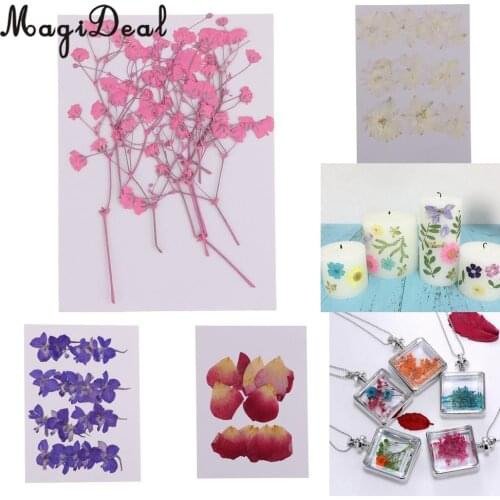 10 / 20Pcs Beautiful Real Pressed Rose Petal Babysbreath Flowers Dried Flowers for Art Craft Scrapbooking DIY Resin Jewelry