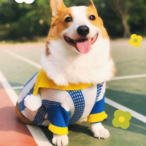 Funny Dog Clothes Kindergarten Style Pet Sweater Warm Puppy Pet Clothes for Medium Large Dogs Costume Fat Dog Clothes Ropa Perro