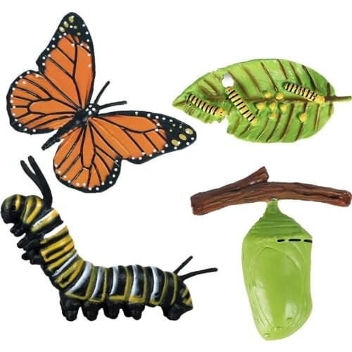 4Pcs Simulation Animal Model Child Mini Insect Butterfly Growth Cycle Plastic Action Figures Toys for Kids Teaching Aids
