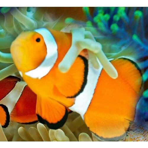 Customize 3d flooring self adhesive Seaweed ocean 3d flooring 3d wall murals wallpaper