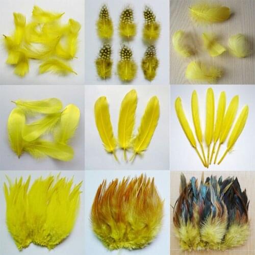 20pcs 11 kinds Yellow Color Pheasant tail Chicken feathers Goose Rooster Plume for Party DIY Craft decoration Ostrich feather