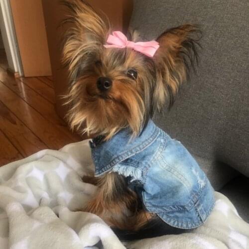 XS-2XL Denim Dog Clothes Cowboy Pet Dog Coat Puppy Clothing For Small Dogs Jeans Jacket Dog Vest Coat Puppy Outfits Cat Clothes