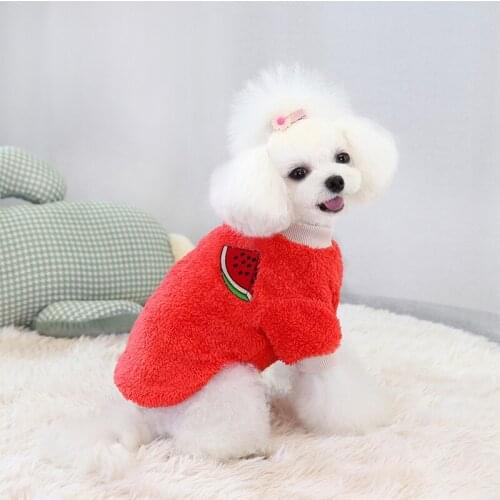 Fall/Winter new style pet clothes cat clothes dog clothes pet supplies pet home