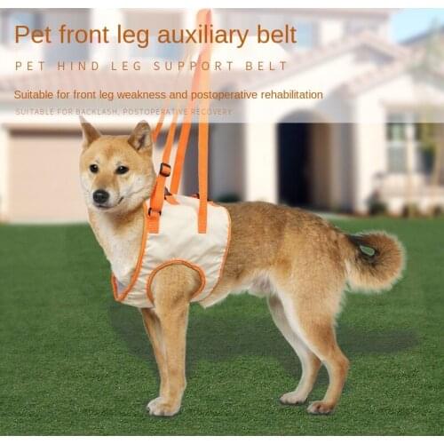 Pesitntrkseep Leashes For Training