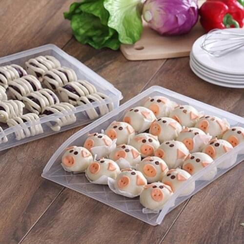 Transparent Dumpling Storage Tray Container for Frozen Dumpling Box Refrigerator Fresh-keeping Dumpling Wonton Fresh Organizer