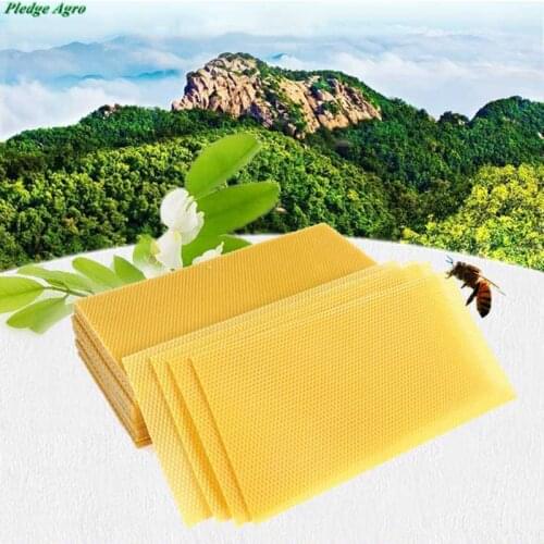 20pcs Beeswax Foundation Sheet Bee Wax Apicultura Cera Apiculture Outils Ensemble Mat Riel Apicole Bees Hives Tools Equipment