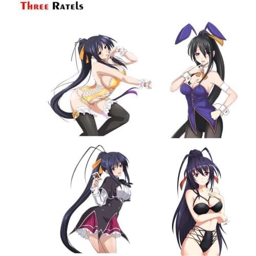 Three Ratels FC541 Akeno Himejima High School Decal Anime Sex Girl CAR Sticker Vinyl