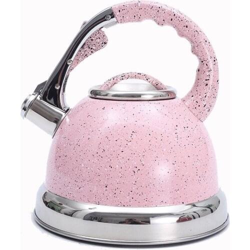 Sounding Kettle Gas-fired Induction Cooker General Hotel Restaurant Thickened Stainless Steel Kettle Water Kettle Kettle Tea