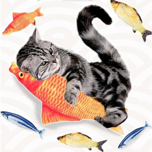 Pet Cat Toy 3D Simulation Fish Interactive Cat Toys Cat Mint Stuffed Cat Products Pet Supplies