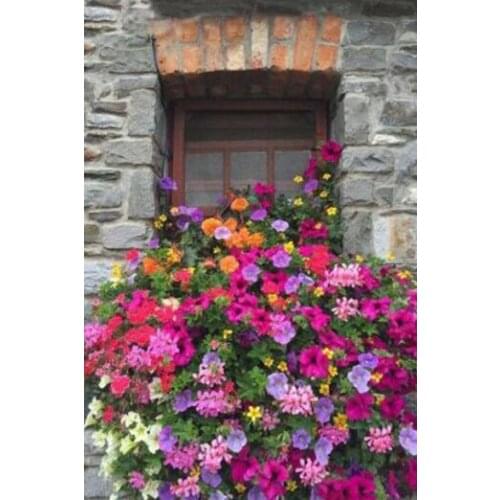 Snowing style Embroidery Counted Cross Stitch Kits Needlework - Crafts 14 ct DMC Color DIY Arts Handmade C01541