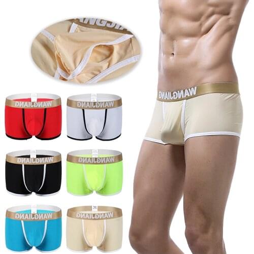 Pouch Boxer 2019 Low Waist Transparent WJ Men Underwear Through Men Sheer Breathable Summer Man Silk Shorts