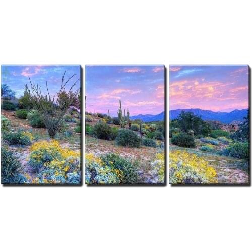 Blooming Desert At Sunset Oil Painting Artwork Indoor Decoration
