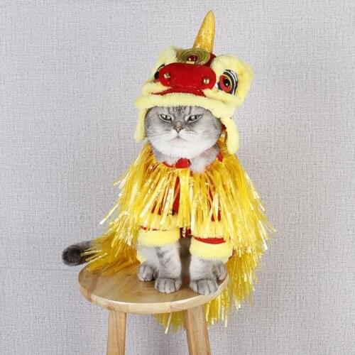 Cat Clothes Cute Pet Clothes Cartoon Lion Cosplay Costume Clothes Autumn Winter Puppy Hoodie Dog Coat Pet Lion Dance Clothing