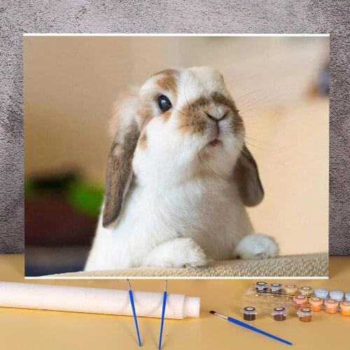 Animal Rabbit Coloring By Numbers Painting Set Oil Paints 40*50 Boards By Numbers Loft Picture Crafts For Adults Art