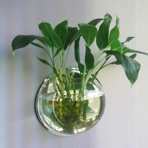 Pot Plant Acrylic Plant Fish Wall Mounted Bowl Fish Tank Wall Hanging Bubble Bowl Aquarium Plant Vase Home Decoration Habitacion