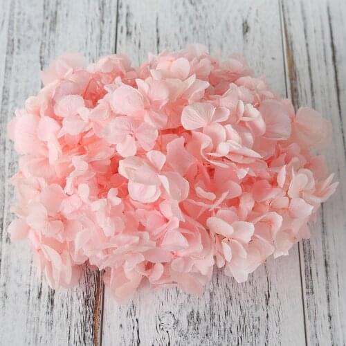 5g/lot,Grade A Preserved big-leaf hydrangea,Nature Fresh Flower Head for gift box Decoration,Eternal rose bride to be Headwear