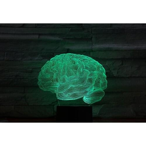 3D Lamp Organ The Brain Pretty Present for Children for Living Room Decoration Dropshipping Led Night Light Lamp Personalized