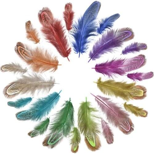 20-100pcs/lot Top Rare Multi-colour plumes Natural Pheasant Feather 4-8cm DIY Feathers for crafts Wedding Party Decorative pluma