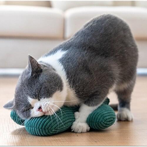 Catnip Funny cactus Interactive Toys Plush Cat Toy for Teeth Grinding Kitten Playing Pillow Claws Thumb Bite Toy