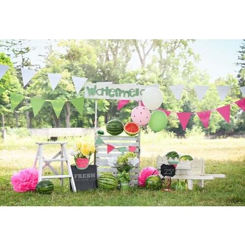Summer Watermelons Photography Backdrop Outdoor Grass Bunting Decorations Background Birthday Banner Newborn Photocall Portraits
