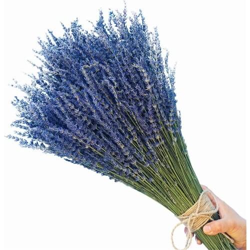 100g Natural Real Dried Flowers Lavender Bundles Lavender Buds Freshly Bouquet Aromatherapy Fashion Decor Car Fragrance