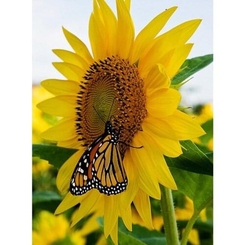 3D DIY Diamond Painting Cross Stitch Flowers Pattern 5D Icon Diamond Embroidery Sunflower Mosaic Butterfly Home Decor Painting