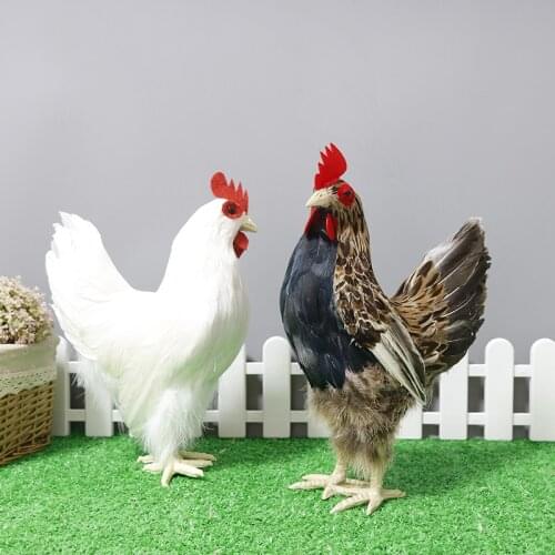 Simulation Hen Realistic Feather Chicken Poultry Static Model Kids Toy Gift Easter Outdoor Decoration Supermarket Display