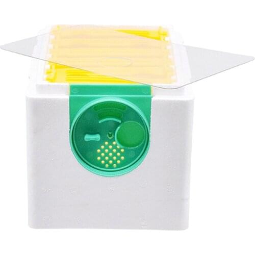 Bee Box Beekeeping Tool 1set Single Layer Perfect Foam For Garden Pollination EPS Beehive