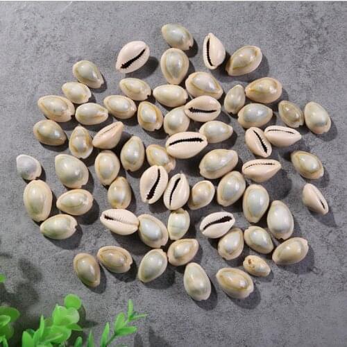 Natural Spiral Shell SeaShells Conch for DIY handmade Home decoration jewelry making 2mm
