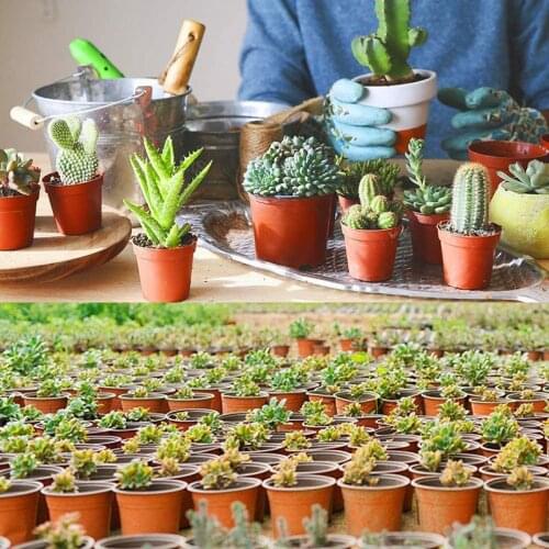 100/20/50pcs Bicolor Flower Pot Simple Plastic Nursery Pots for Succulent Plants Seed Starting Pot CLH@8