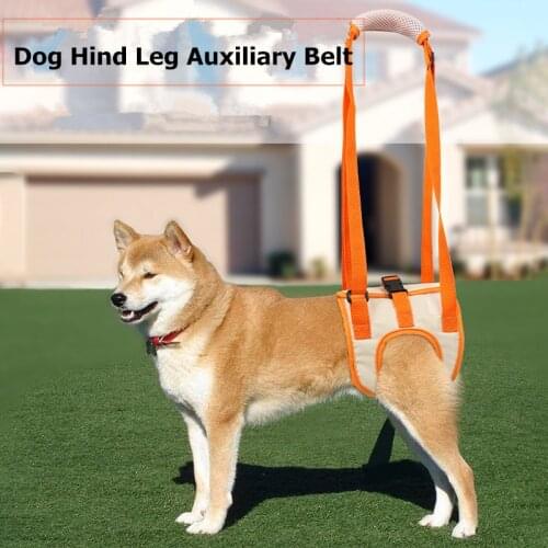 Pet Dog Hind Leg Auxiliary Belt Postoperative Rehabilitation Belt for Recovery Disability Leg Brace Help Walking Harness