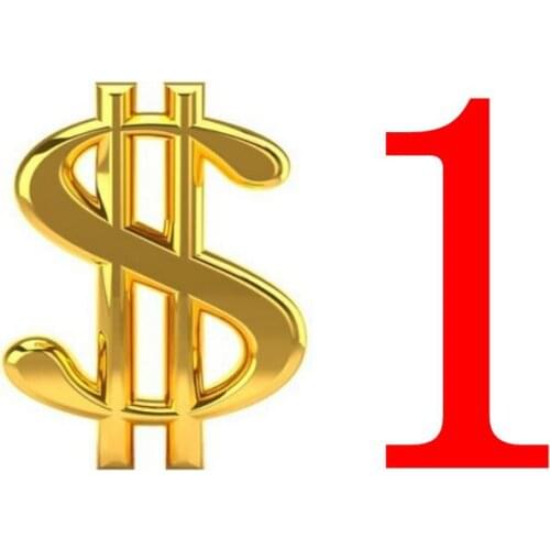 Dedicated freight link Make up the difference,Up freight for Hong Kong/China Post Air Mail/DHL EMS fee,agreement cost for order