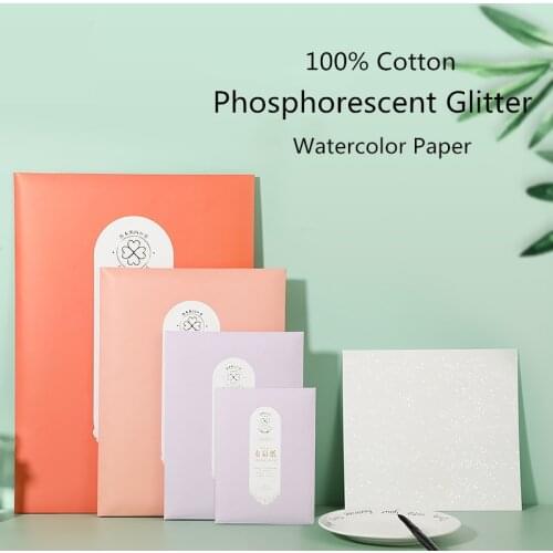 Official Paul Rubens Watercolor Paper 100% Cotton 300g Glitter Professional Water Color Paper for Painting Art supplies
