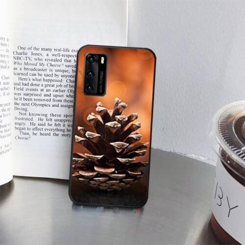 Matsuko autumn is coming Phone Case for huawei P40 pro lite P8 P9 P10 P20 P30 psmart 2019 2017 2018