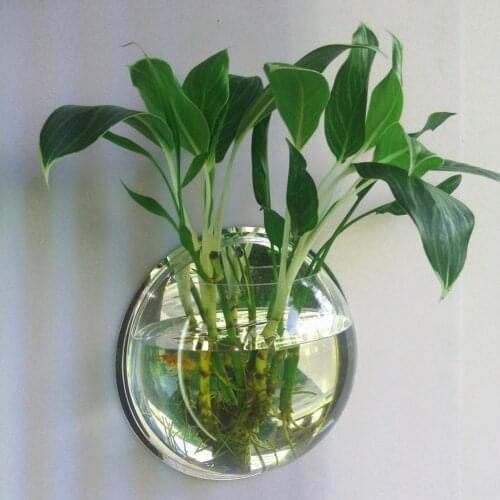 Transparent Plant Wall Mounted Hanging Fish Tank Flower Round Vase Pot Acrylic Bowl Bubble Aquarium Home Decoration