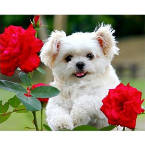 Diamond embroidery dog pomeranian, 3d diamond painting dogs