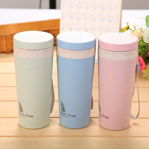 Double Layer Wheat Water Bottle Portable Cups With Lid Friendly Milk Coffee Tea MUG Tea Cup Home Office Travel Sports Drinkware