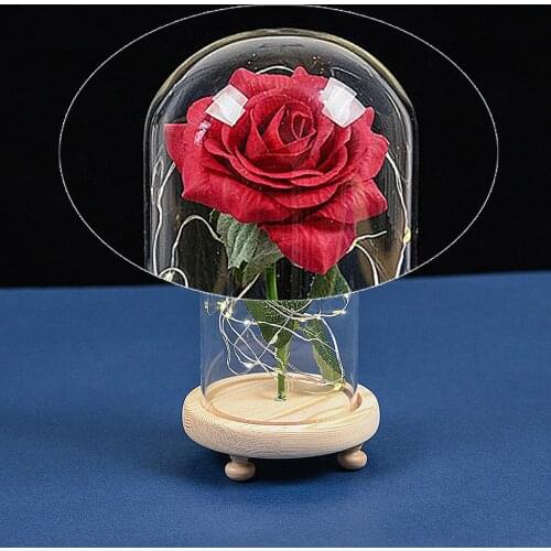 Rose LED Light Flower Crystal Glass Dome Valentines Girlfriend Gift