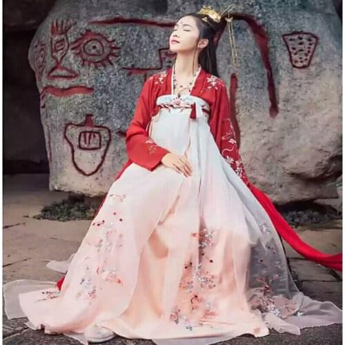 Hanfu Women Costume Tang Dynasty Traditional Ancient Chinese Folk Dance Fairy Skirt Sleeve Length Performance Clothing DNV11417